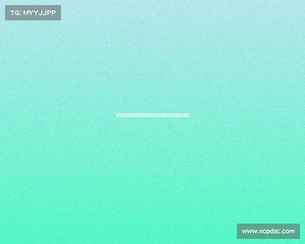 创新游泳赛事服务解决方案:一站式赛事组织团队培训与技术支持